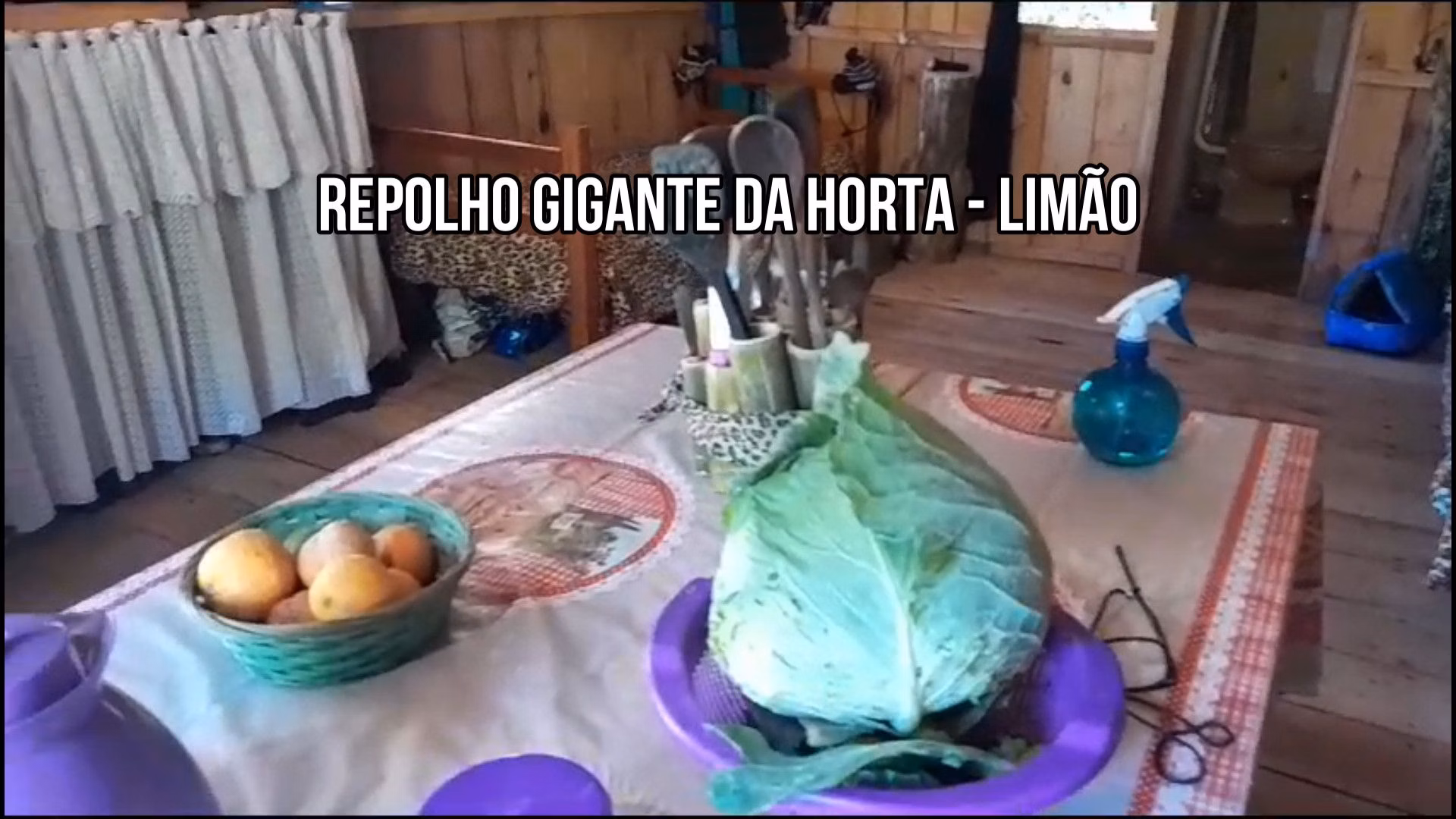 Country home of 1,500 m² in Caraá, RS, Brazil