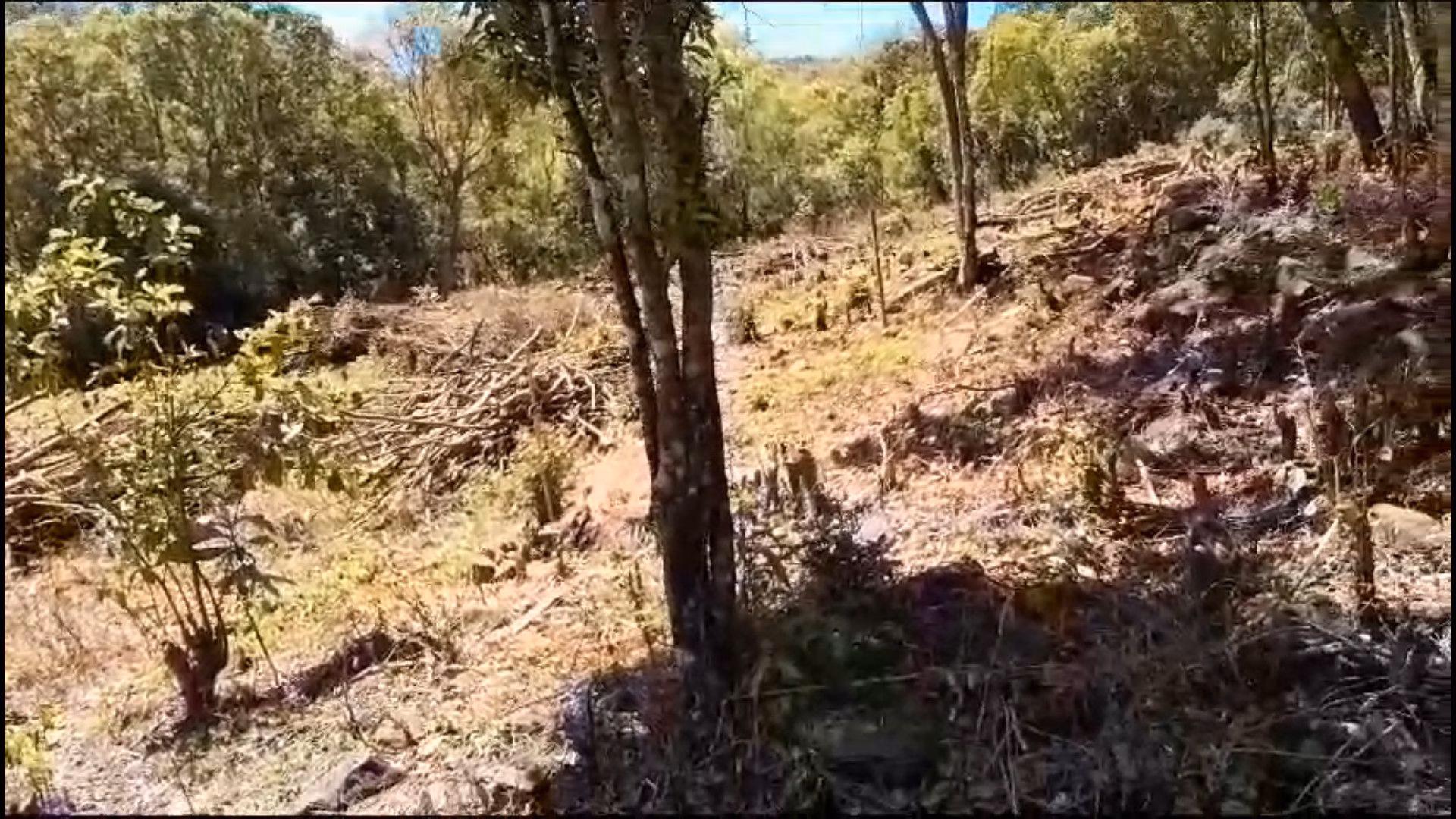 Country home of 1,500 m² in Caraá, RS, Brazil