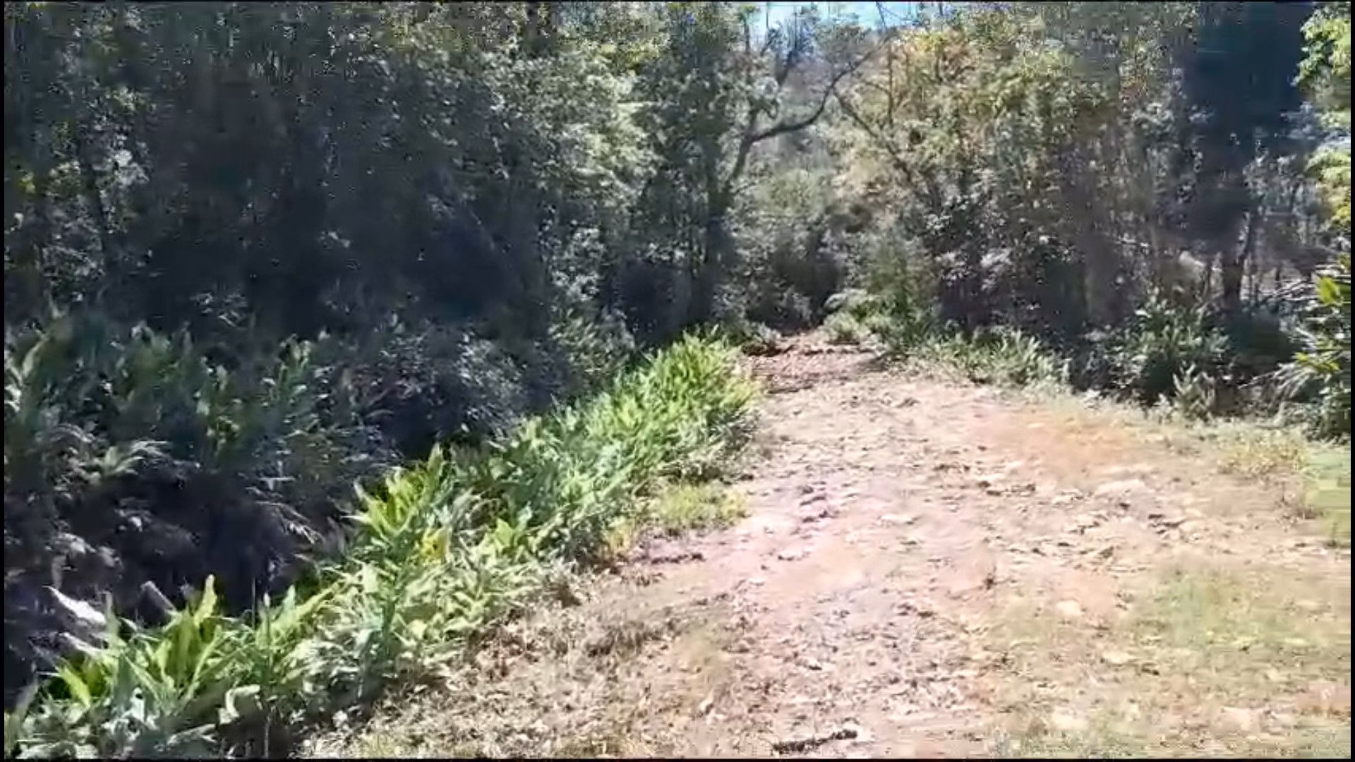 Country home of 1,500 m² in Caraá, RS, Brazil