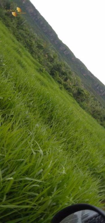 Fazenda de 600 ha em Jangada, MT