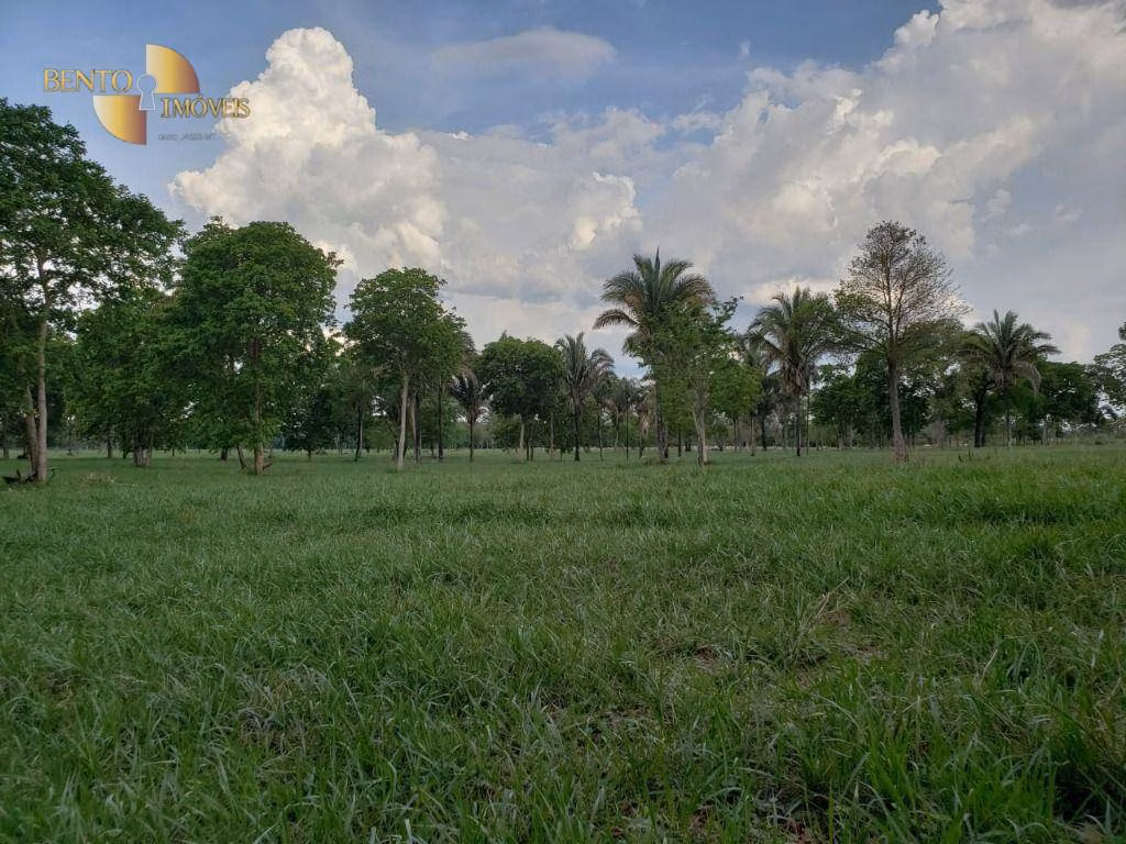 Fazenda de 600 ha em Jangada, MT