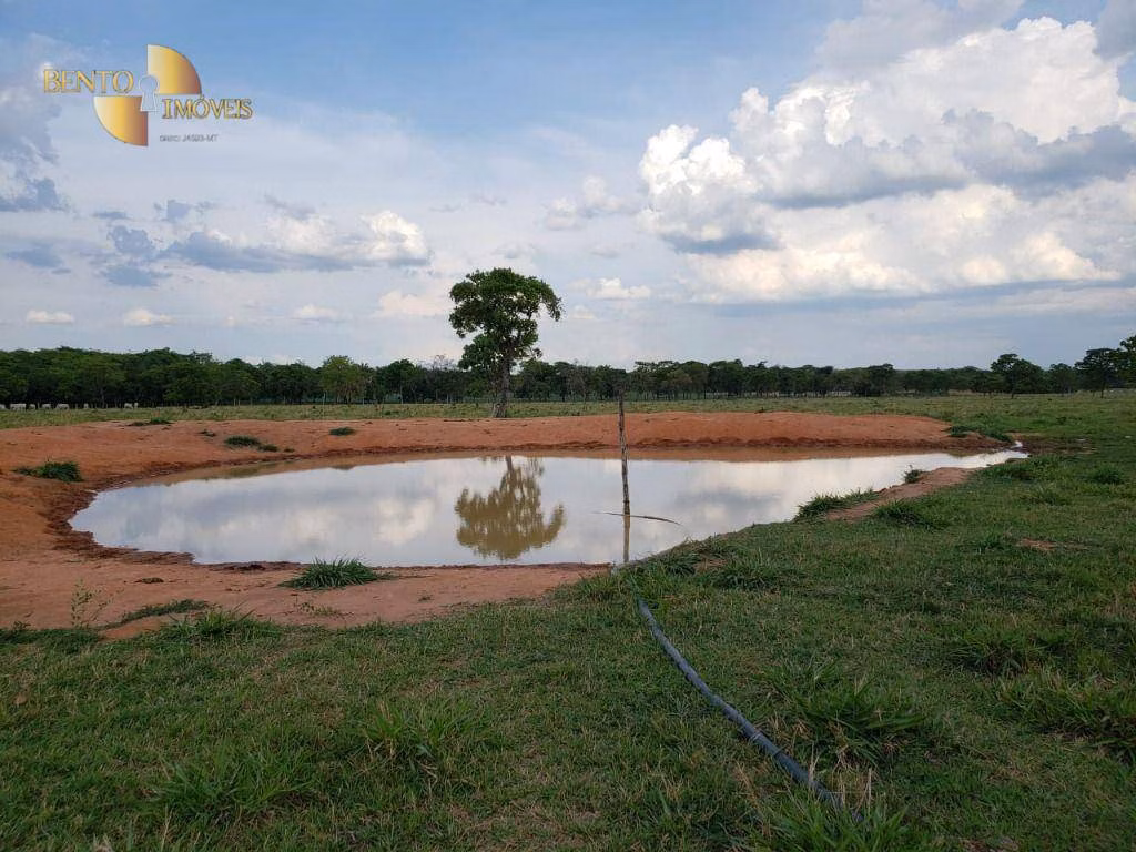 Fazenda de 600 ha em Jangada, MT