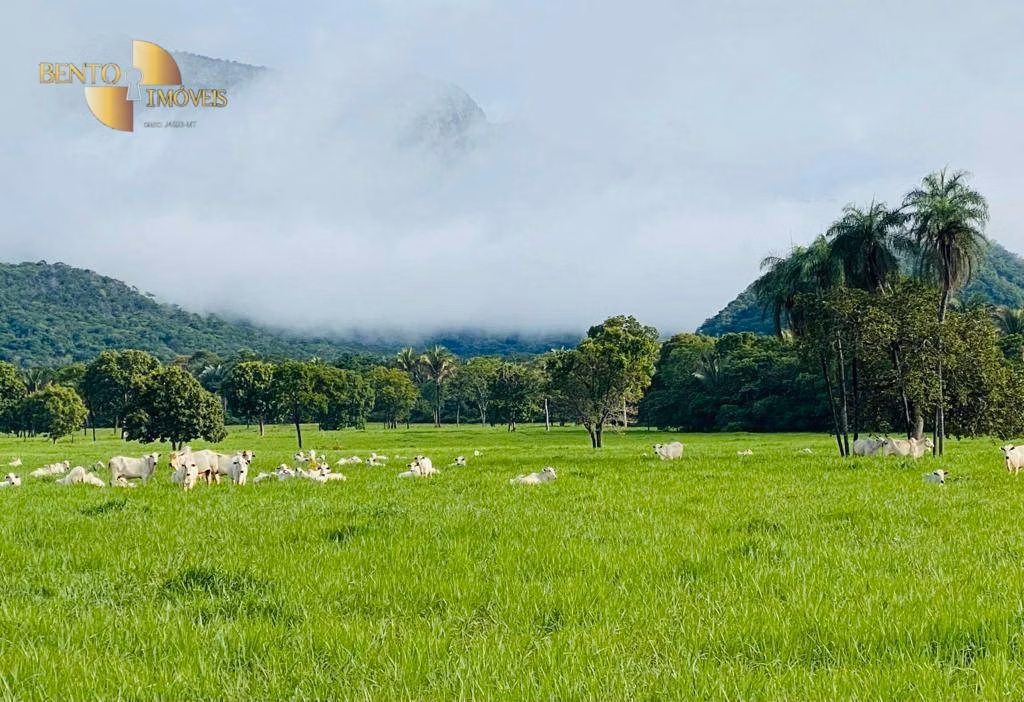 Fazenda de 600 ha em Jangada, MT