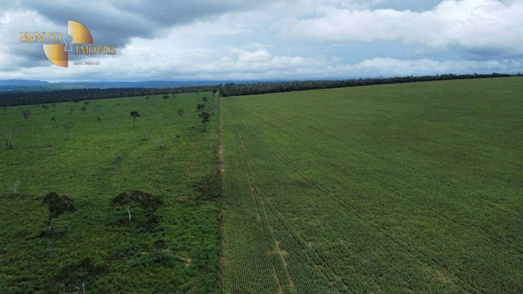 Farm of 3,548 acres in Poxoréu, MT, Brazil