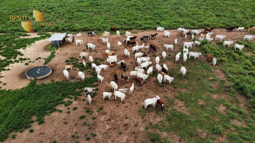 Farm of 3,548 acres in Poxoréu, MT, Brazil