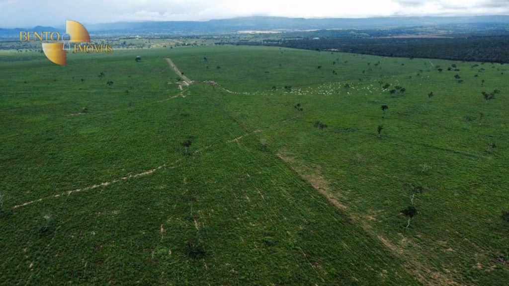 Farm of 3,548 acres in Poxoréu, MT, Brazil