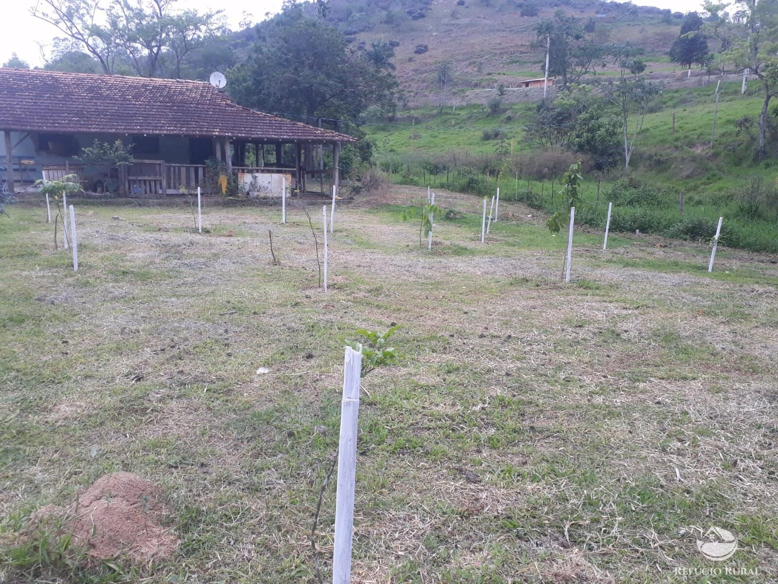 Small farm of 10 acres in São José dos Campos, SP, Brazil