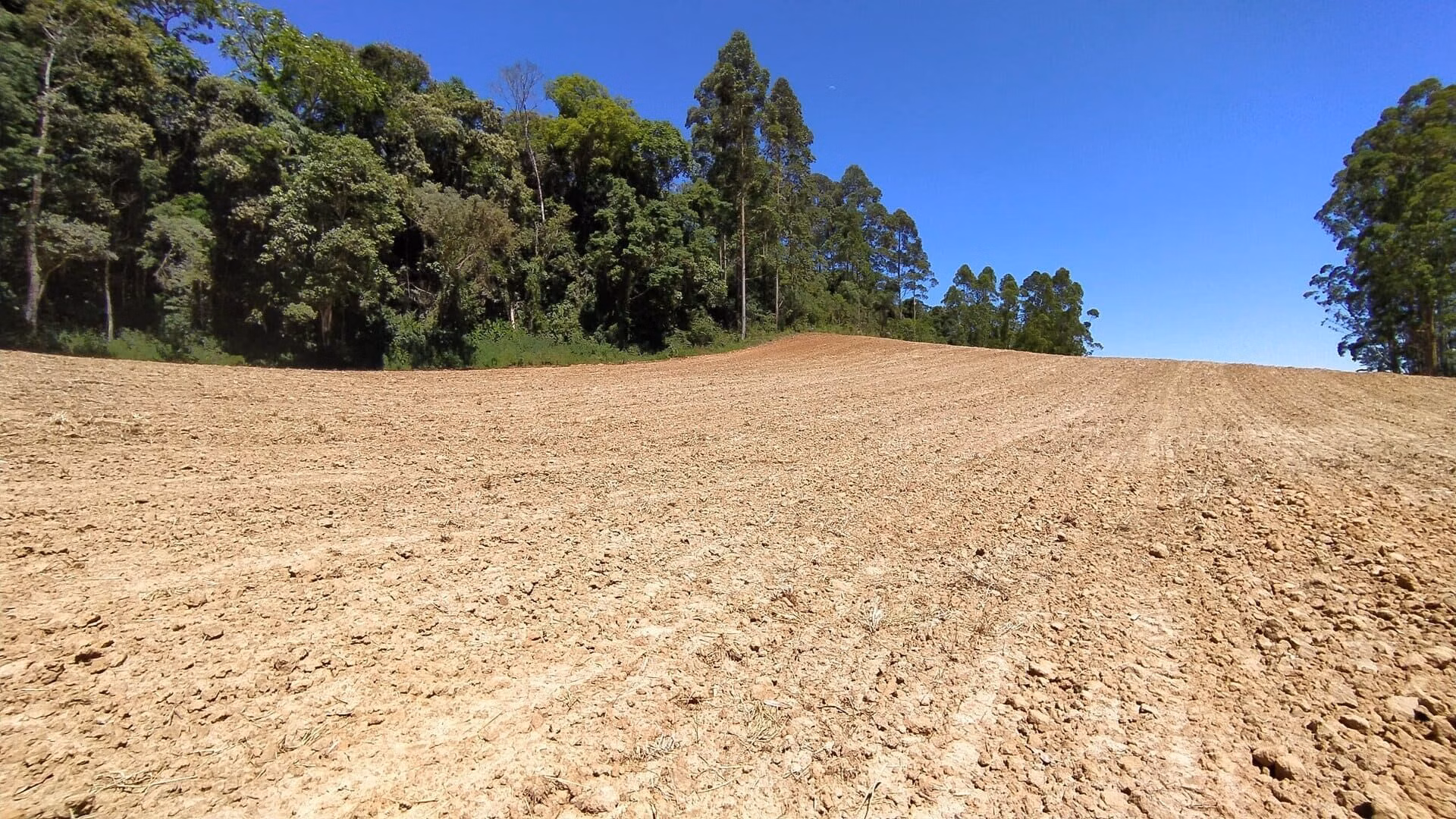 Terreno de 29 ha em Vitor Meireles, SC
