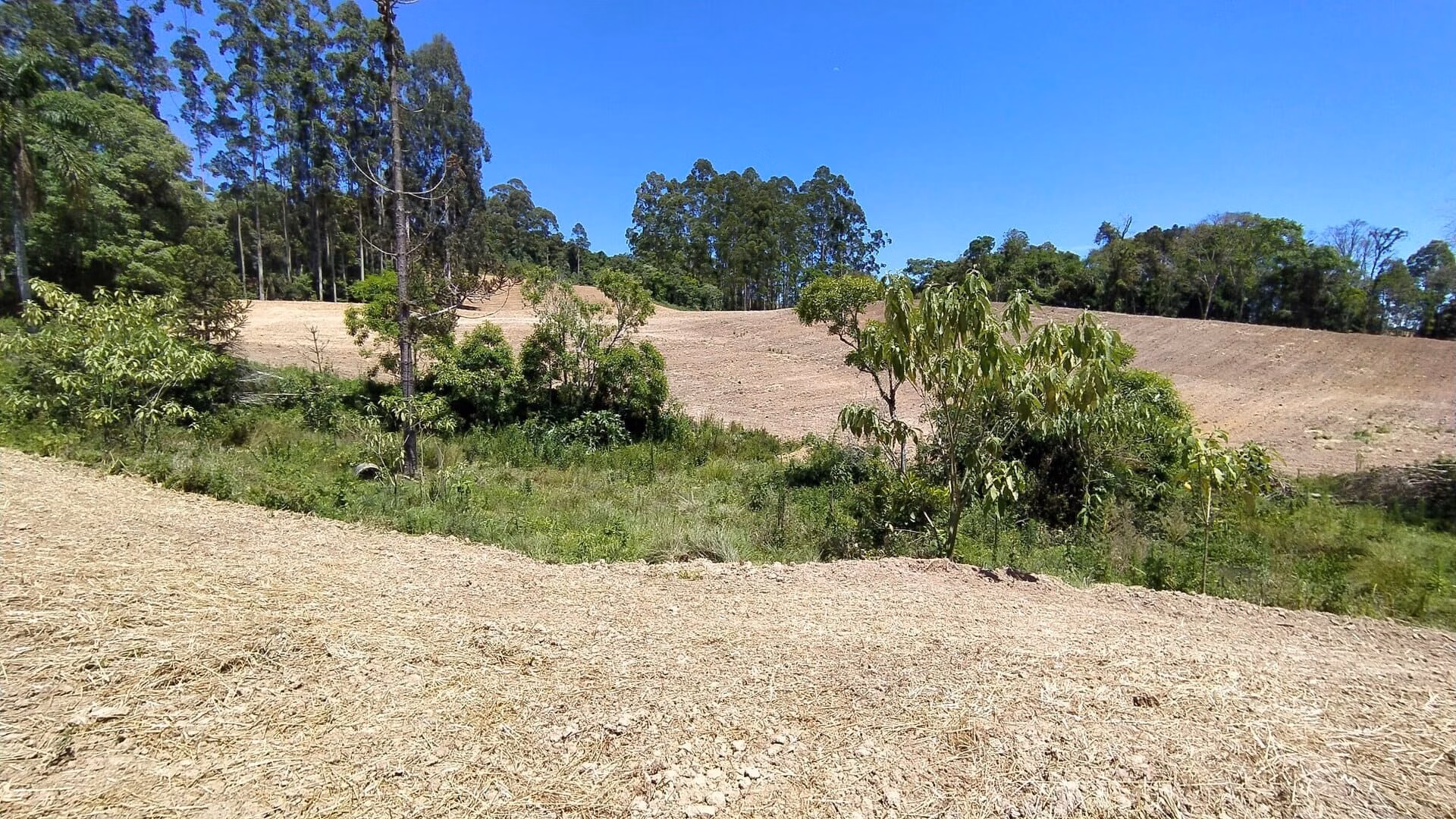 Terreno de 29 ha em Vitor Meireles, SC