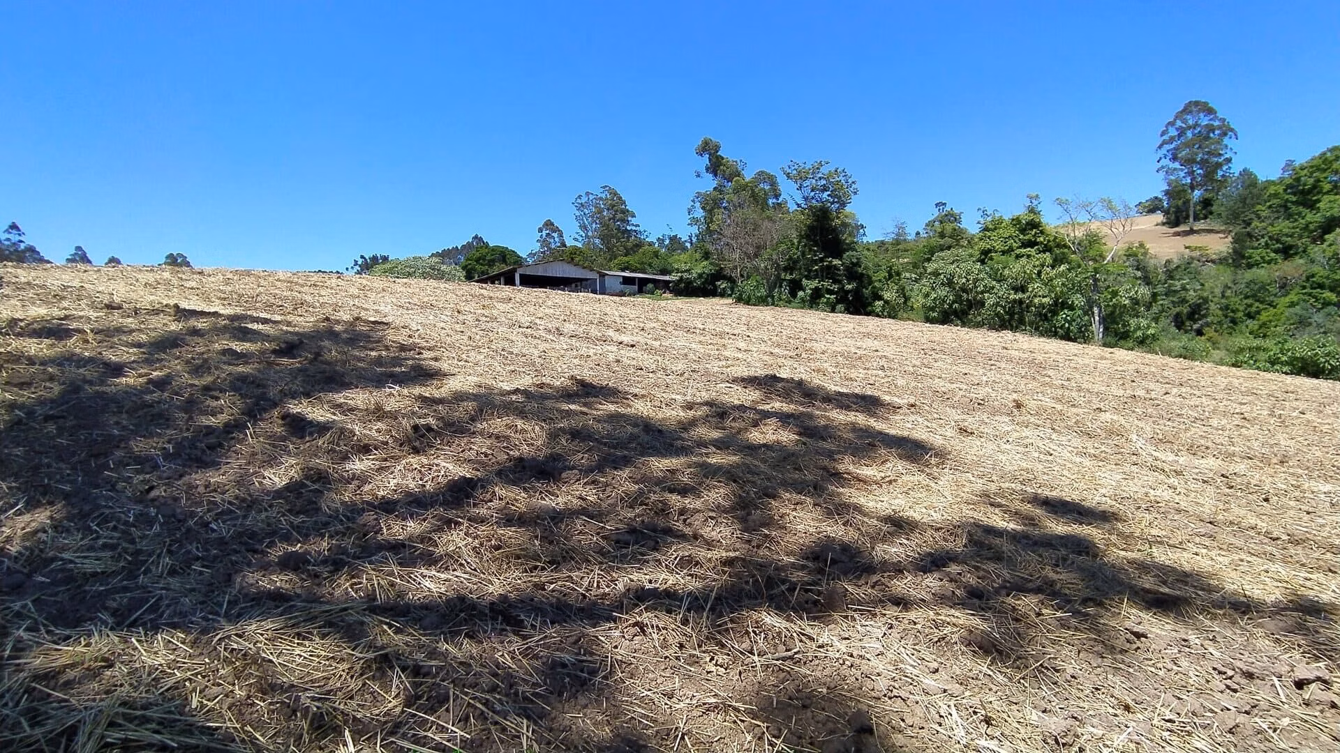 Terreno de 29 ha em Vitor Meireles, SC