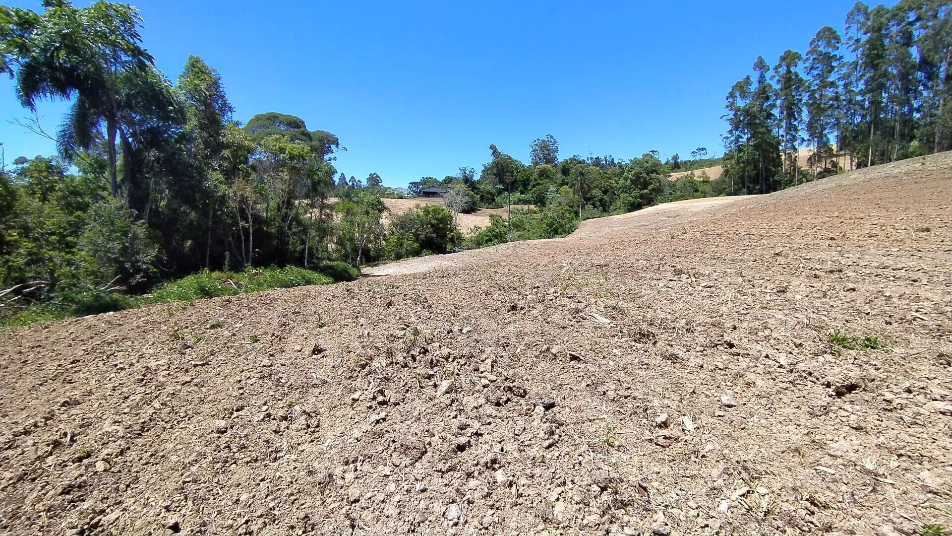 Terreno de 29 ha em Vitor Meireles, SC
