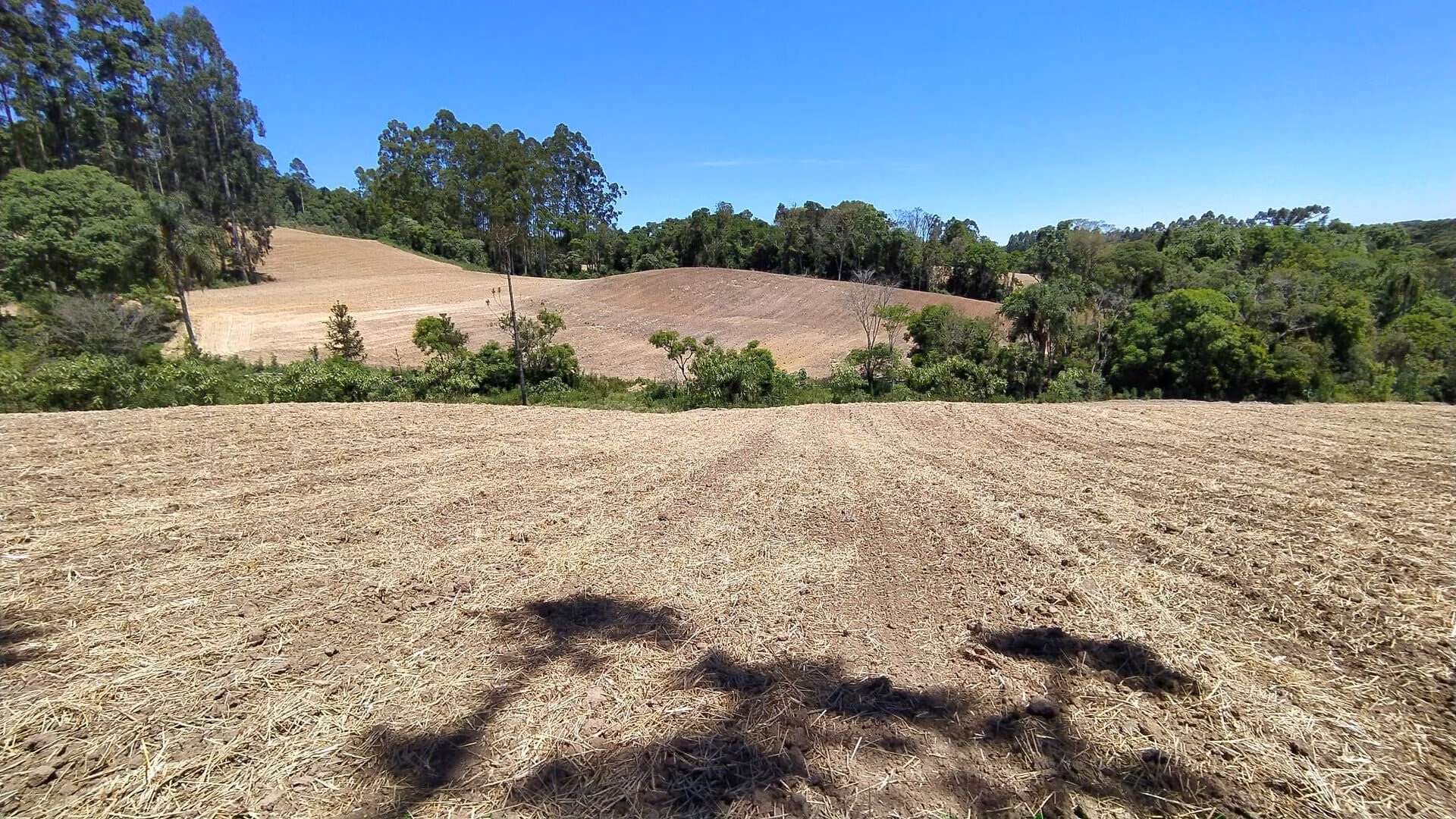 Terreno de 29 ha em Vitor Meireles, SC