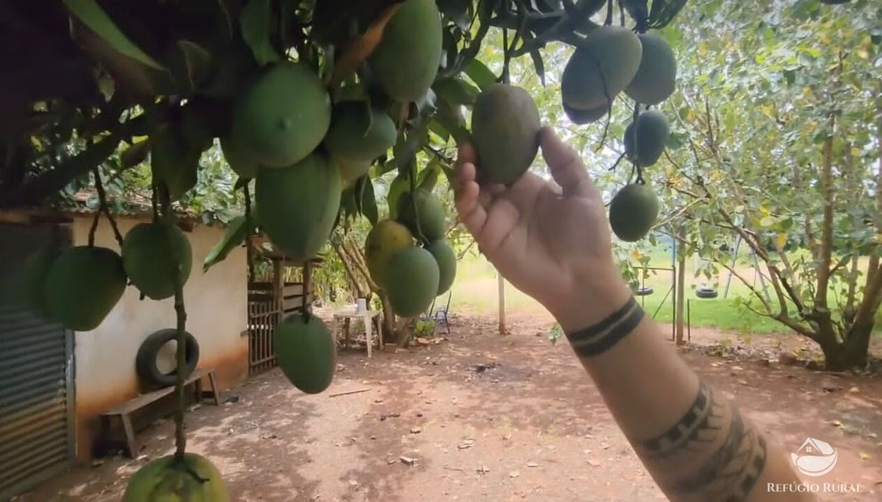 Chácara de 1 ha em Nova América da Colina, PR