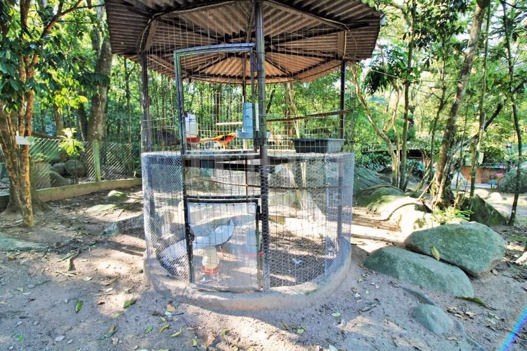 Farm of 2 acres in Canelinha, SC, Brazil