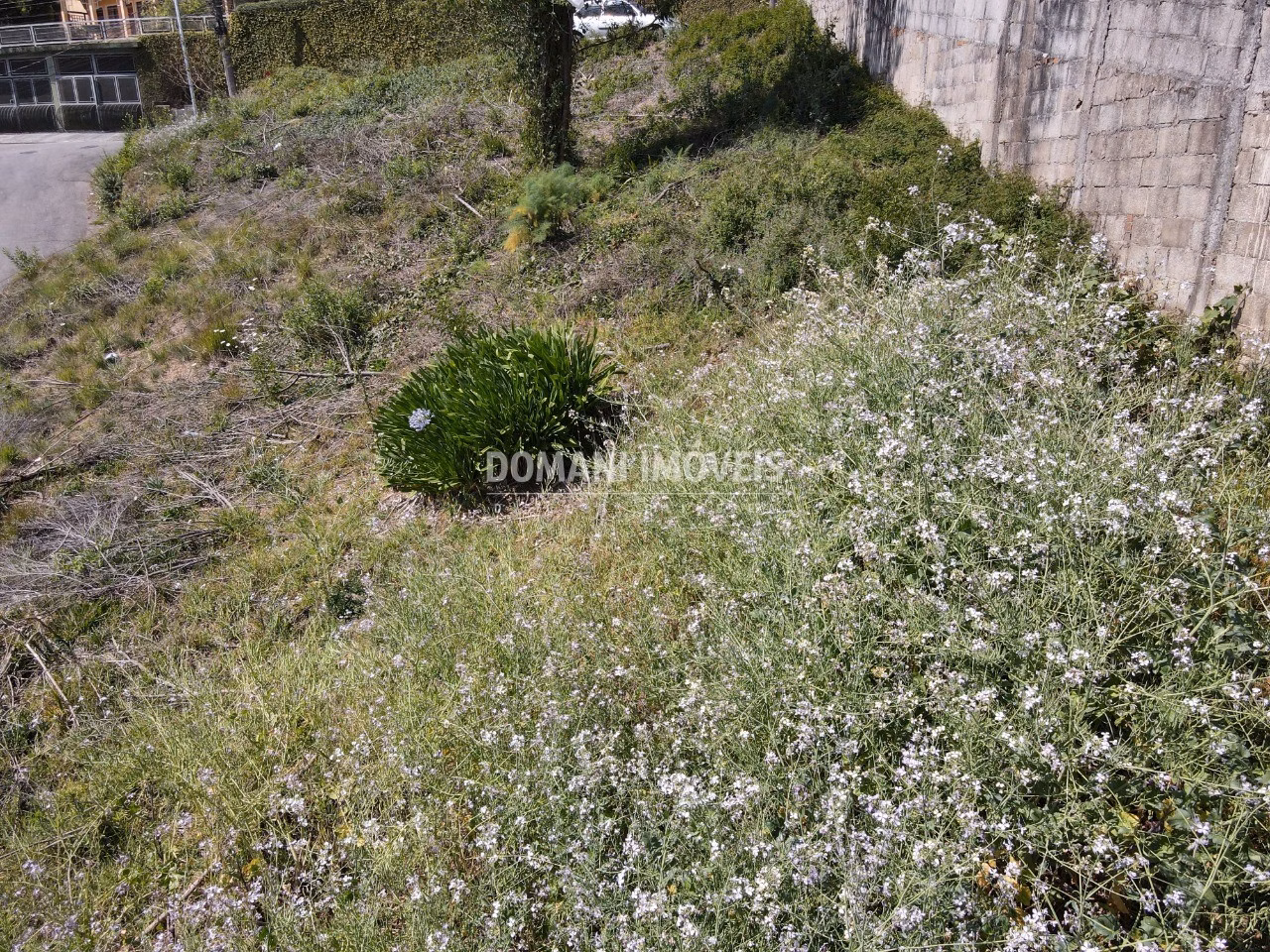 Plot of 470 m² in Campos do Jordão, SP, Brazil