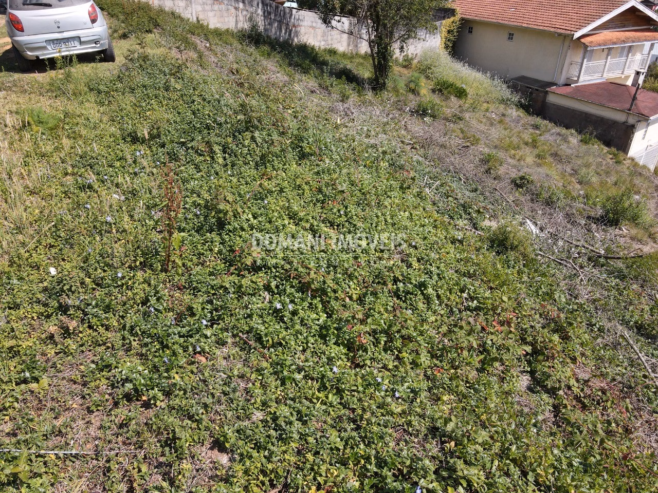Plot of 470 m² in Campos do Jordão, SP, Brazil