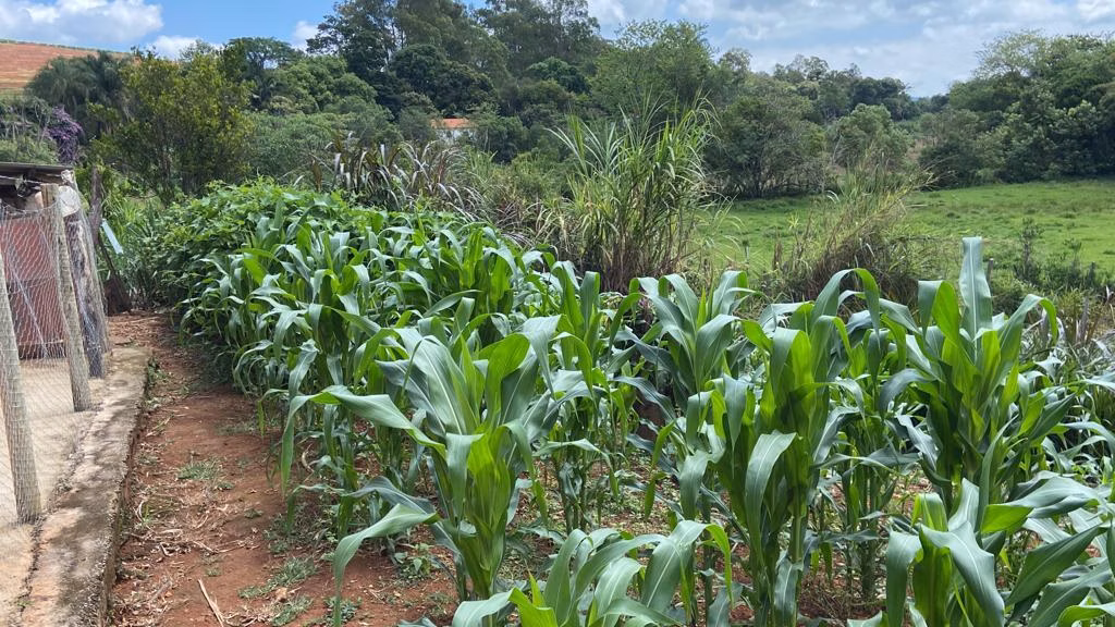Chácara de 1 ha em São Gonçalo do Sapucaí, MG