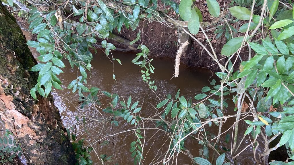 Chácara de 1 ha em São Gonçalo do Sapucaí, MG