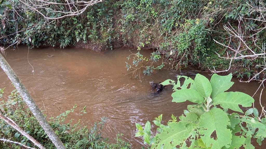 Chácara de 1 ha em São Gonçalo do Sapucaí, MG