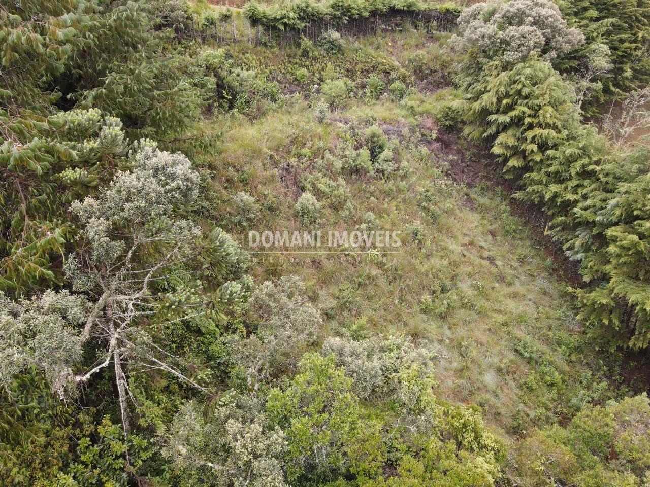 Plot of 1,500 m² in Campos do Jordão, SP, Brazil