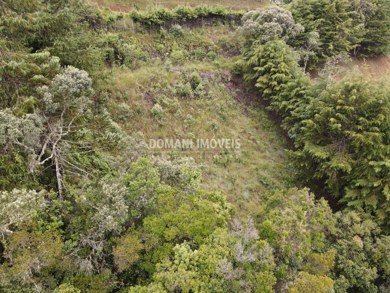 Terreno de 1.500 m² em Campos do Jordão, SP