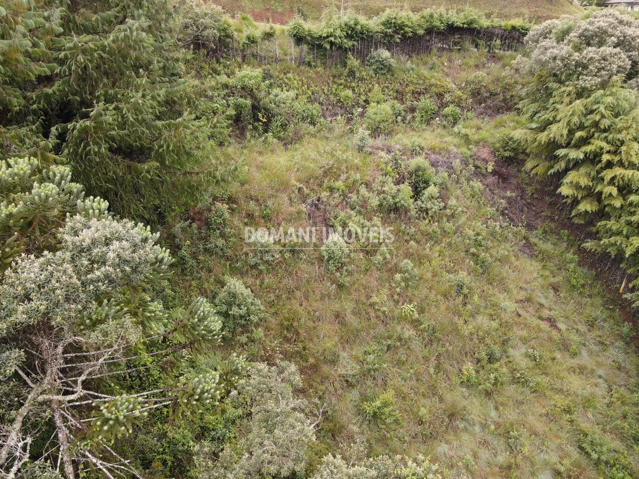 Plot of 1,500 m² in Campos do Jordão, SP, Brazil