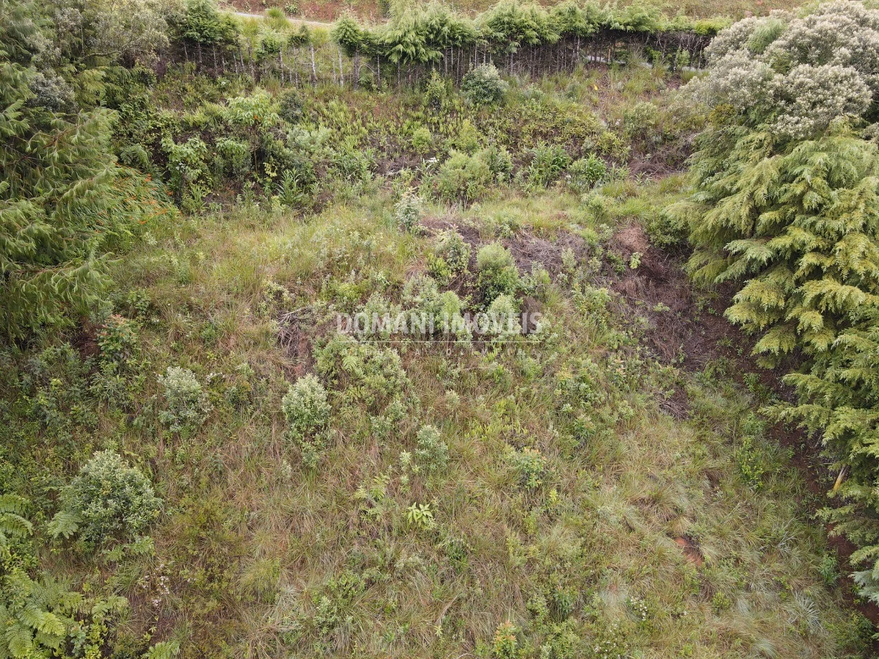 Plot of 1,500 m² in Campos do Jordão, SP, Brazil