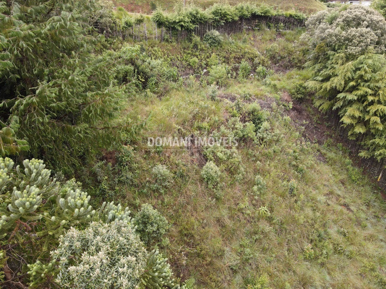 Plot of 1,500 m² in Campos do Jordão, SP, Brazil