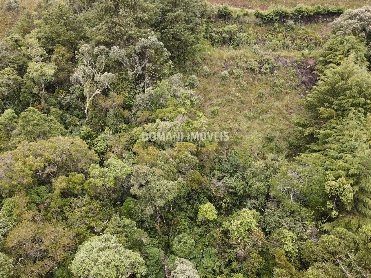 Plot of 1,500 m² in Campos do Jordão, SP, Brazil