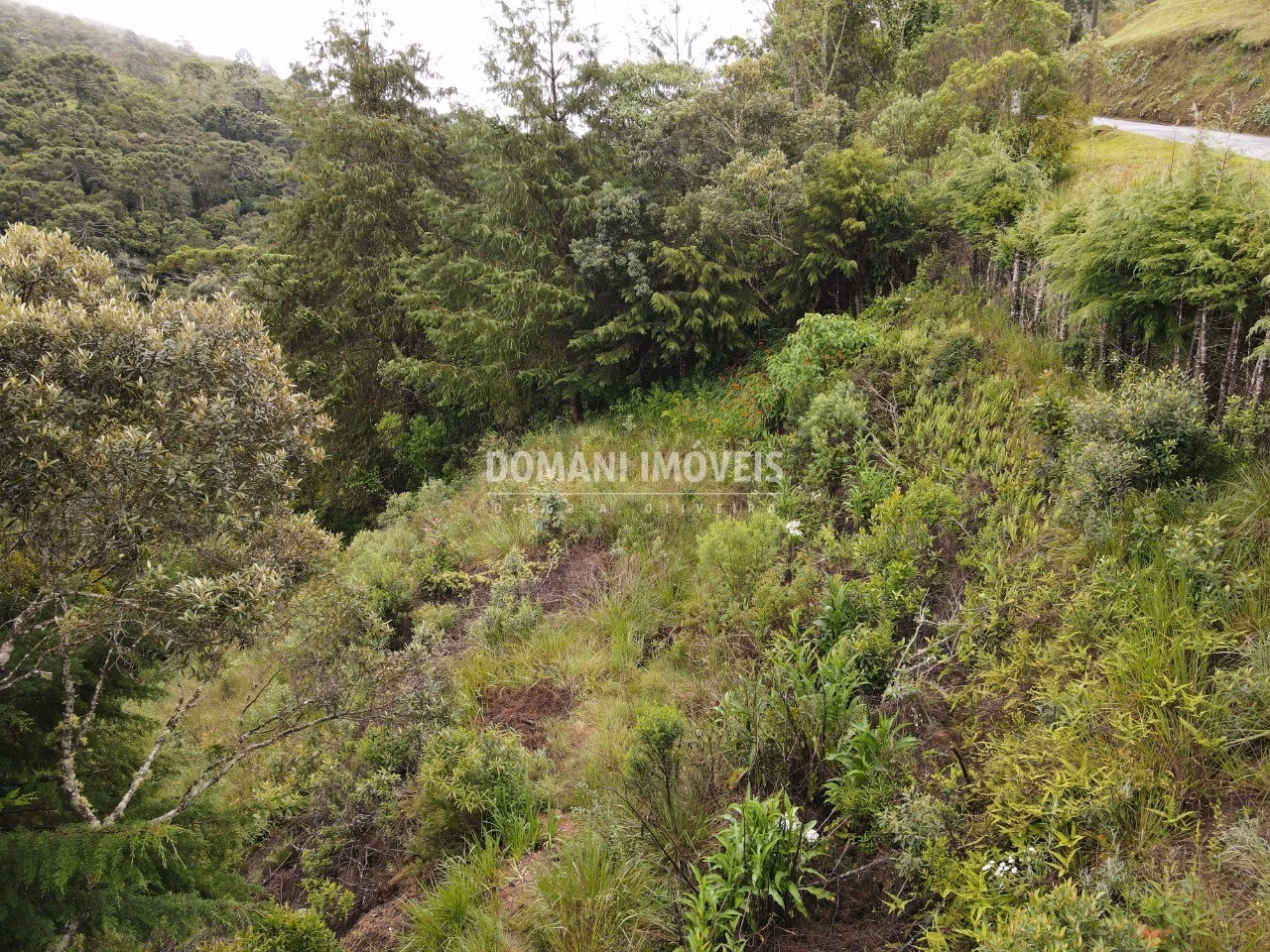 Plot of 1,500 m² in Campos do Jordão, SP, Brazil