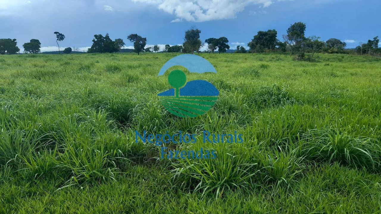 Fazenda de 363 ha em Crixás, GO