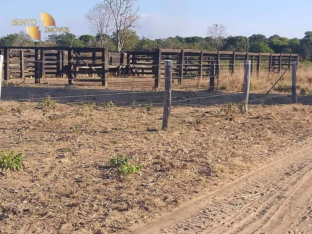 Fazenda de 4.000 ha em Ribeirão Cascalheira, MT