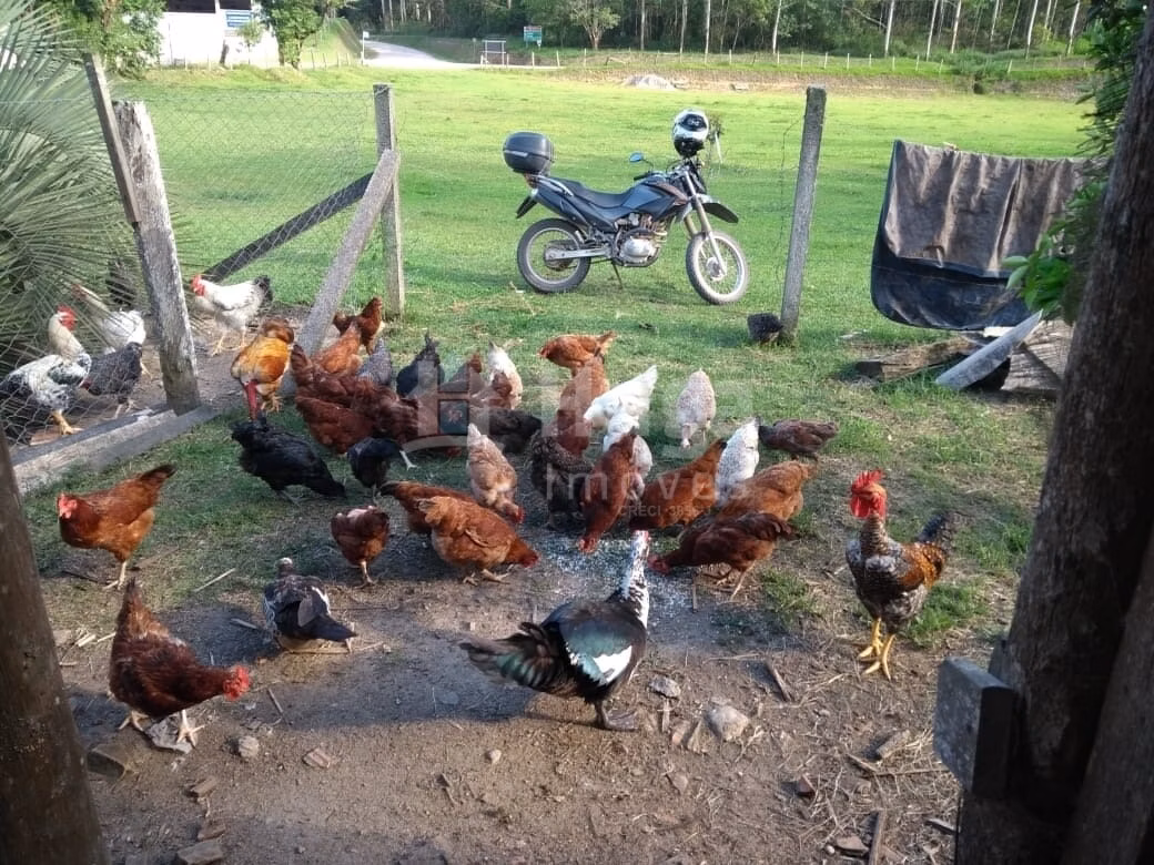 Terreno de 6.309 m² em Gaspar, SC