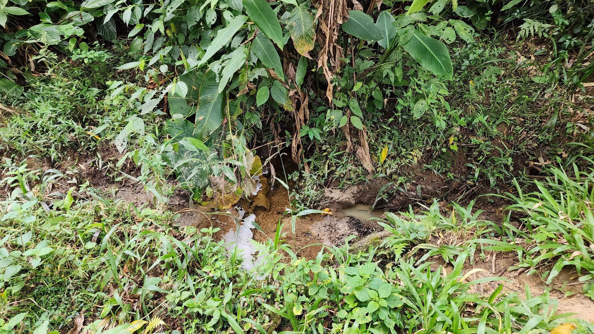 Terreno de 6 ha em Vitor Meireles, SC