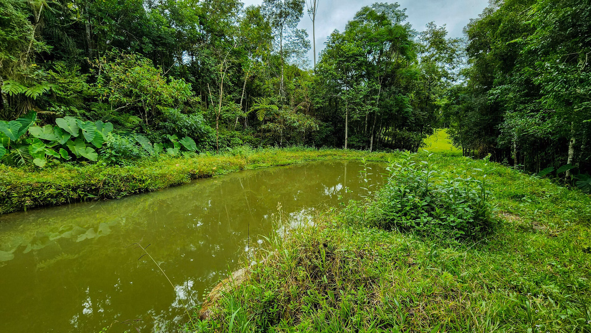 Terreno de 6 ha em Vitor Meireles, SC
