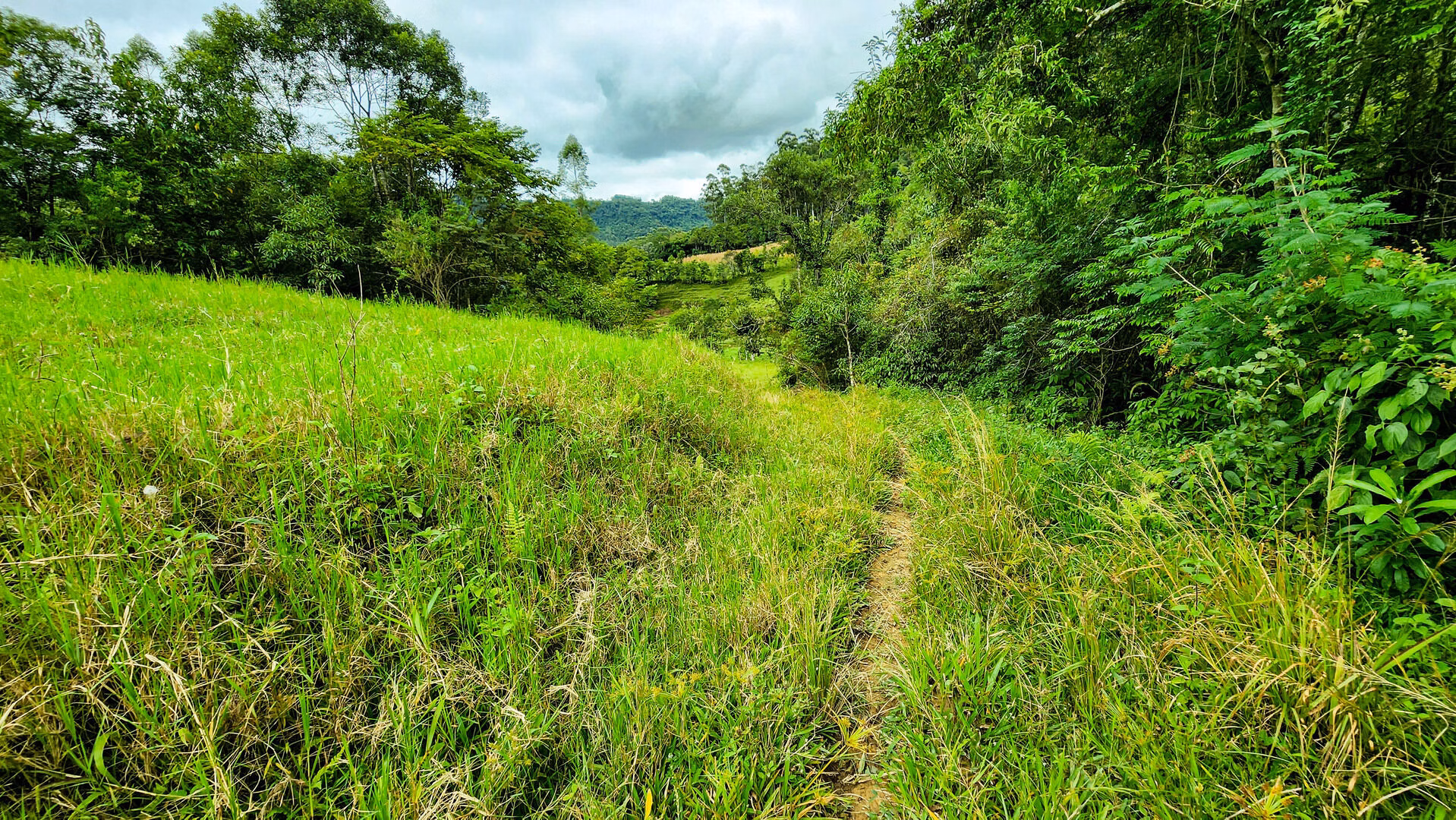 Terreno de 6 ha em Vitor Meireles, SC