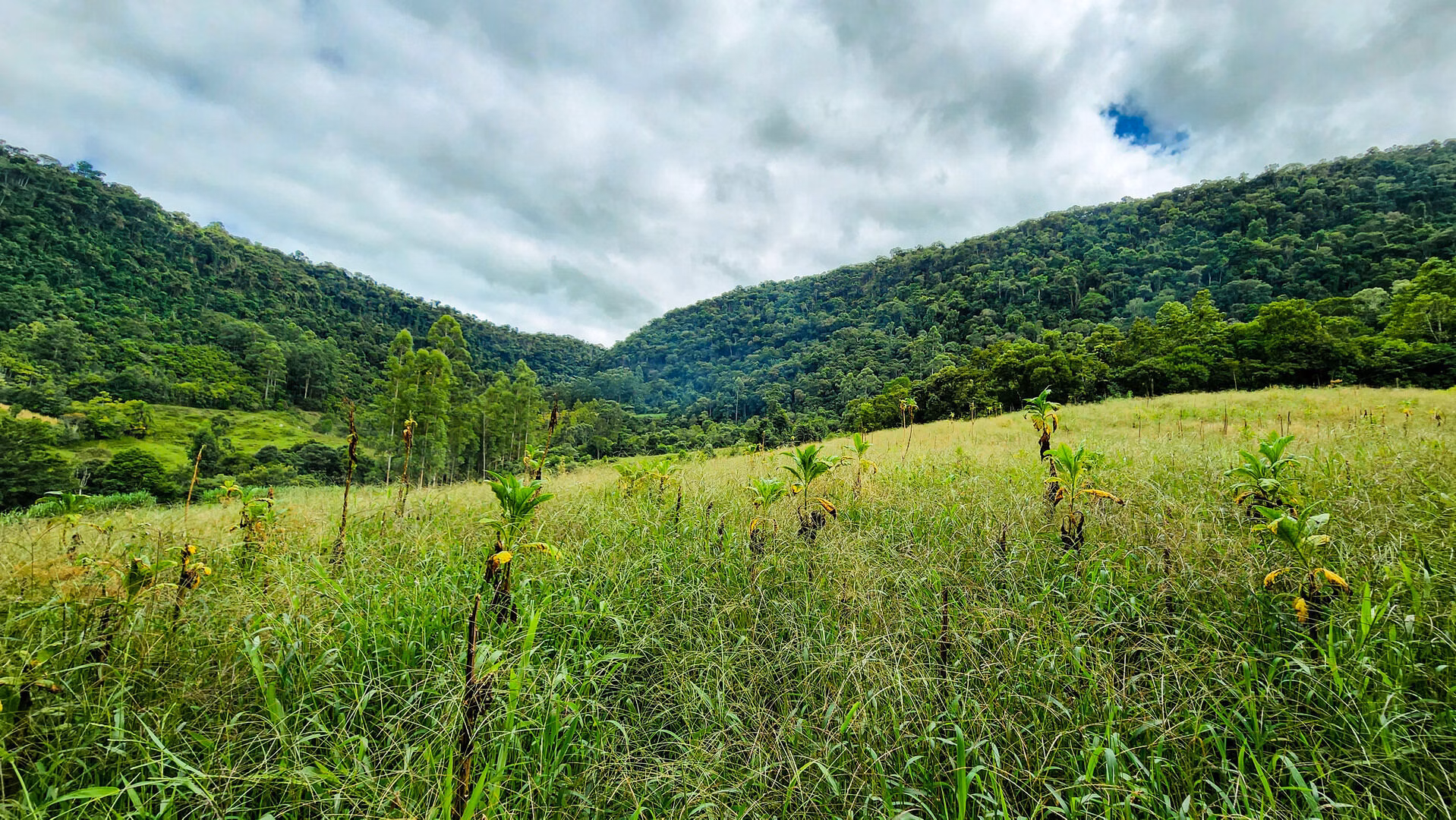 Terreno de 6 ha em Vitor Meireles, SC