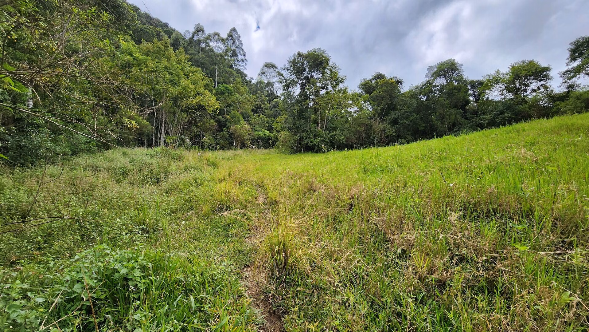 Terreno de 6 ha em Vitor Meireles, SC