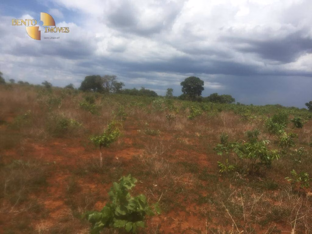 Farm of 2,990 acres in Jangada, MT, Brazil