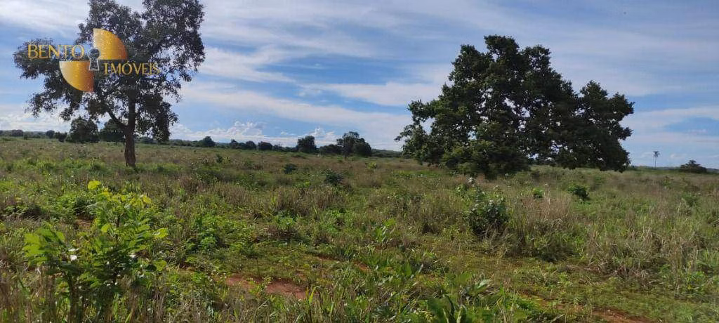 Farm of 2,990 acres in Jangada, MT, Brazil