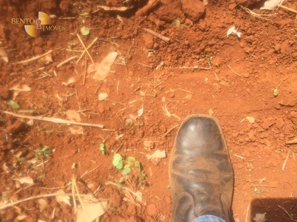 Farm of 2,990 acres in Jangada, MT, Brazil