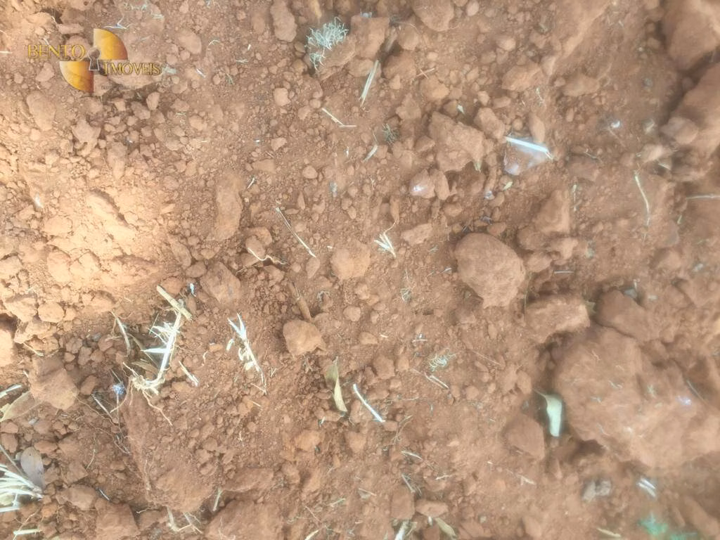 Farm of 2,990 acres in Jangada, MT, Brazil