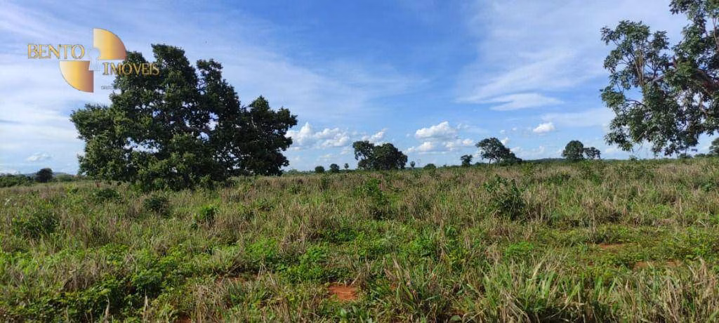 Farm of 2,990 acres in Jangada, MT, Brazil