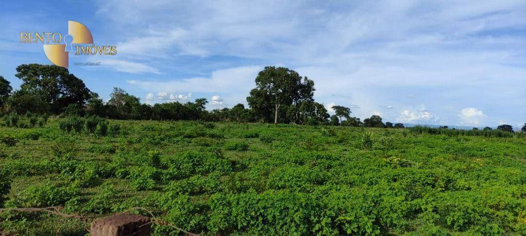 Farm of 2,990 acres in Jangada, MT, Brazil