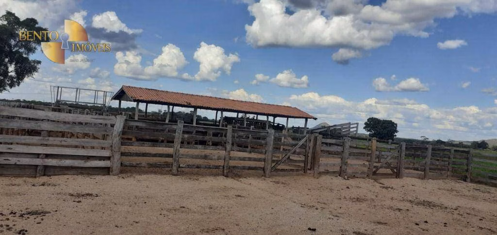 Farm of 2,990 acres in Jangada, MT, Brazil