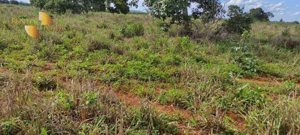 Farm of 2,990 acres in Jangada, MT, Brazil