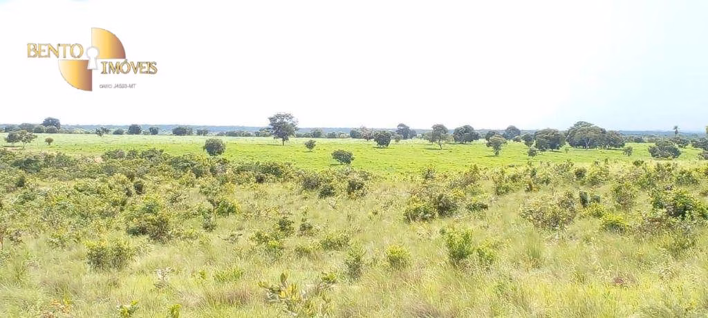 Fazenda de 990 ha em Poconé, MT