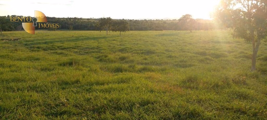 Fazenda de 990 ha em Poconé, MT