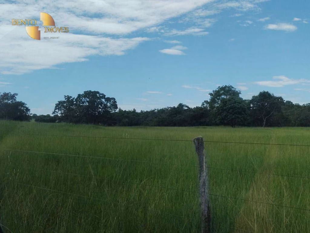 Fazenda de 990 ha em Poconé, MT