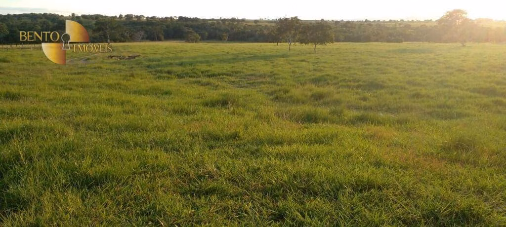 Farm of 2.446 acres in Poconé, MT, Brazil